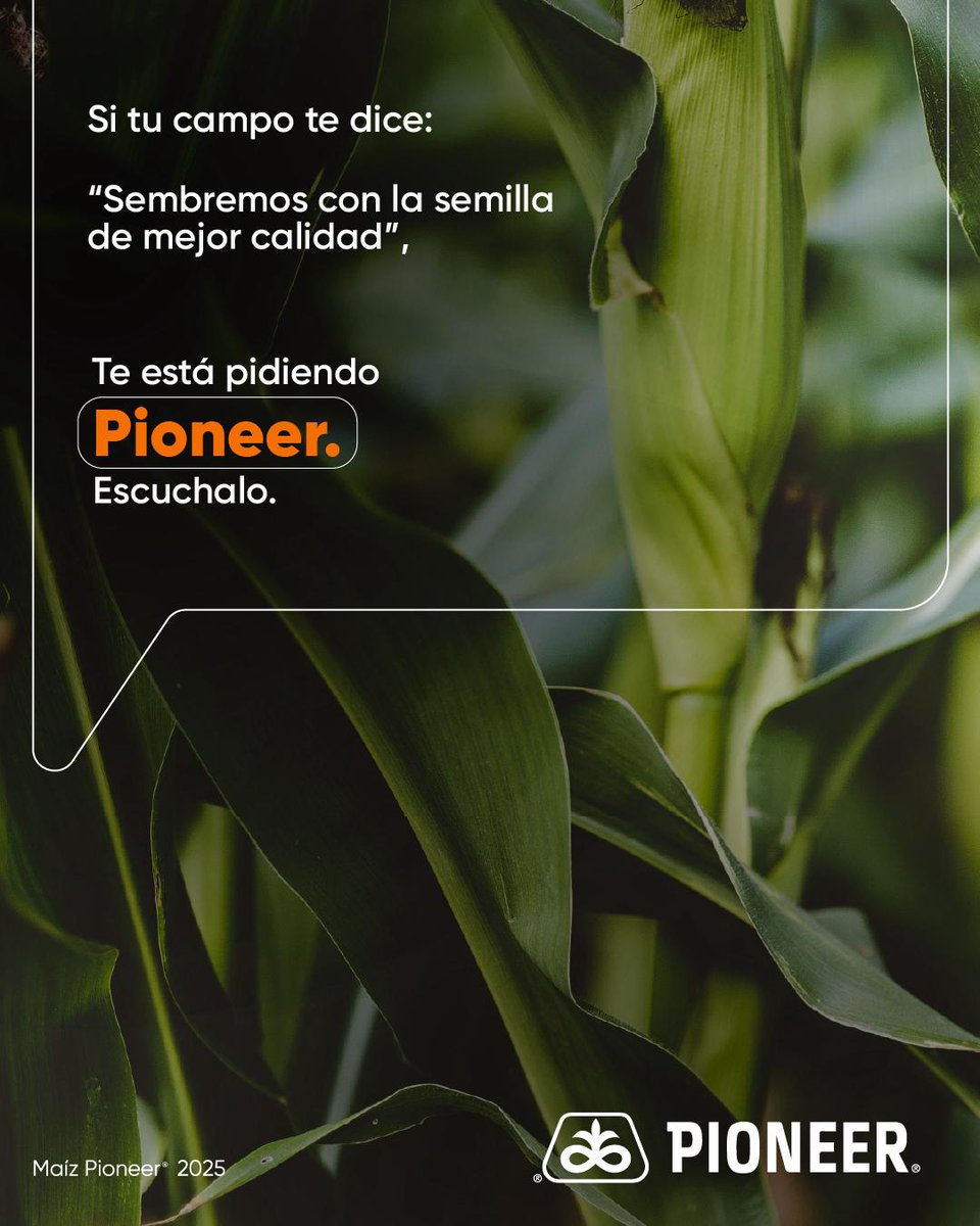 Calidad que arranca en la semilla y se ve en la cosecha.