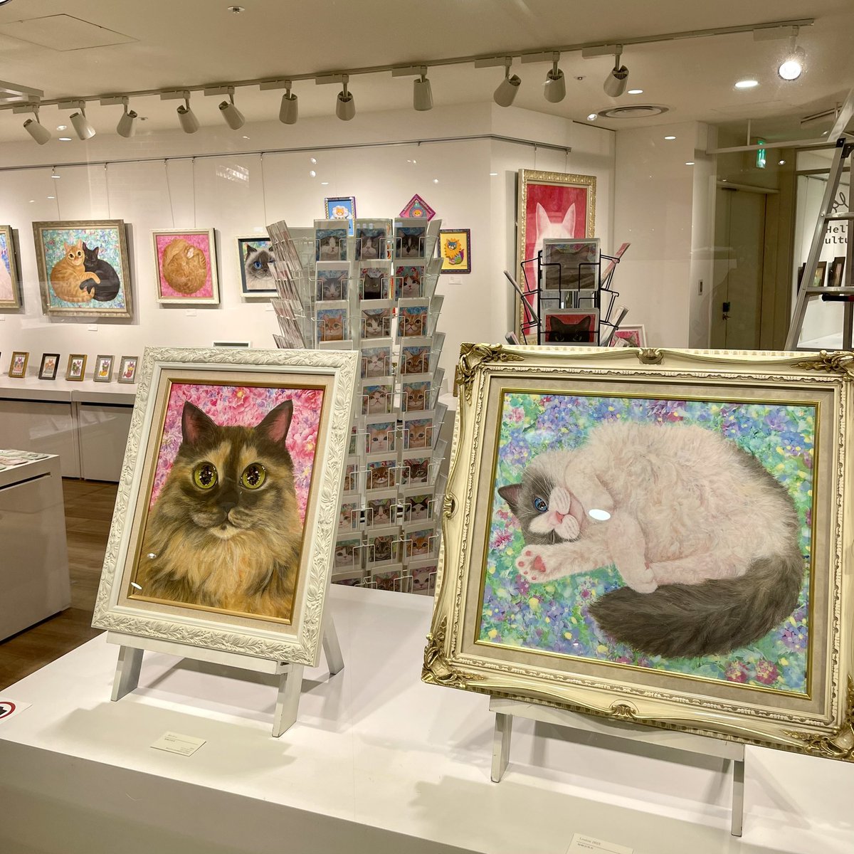 福嶋吾然有@9/10~9/16阪神梅田個展 (@AsariCats) / X