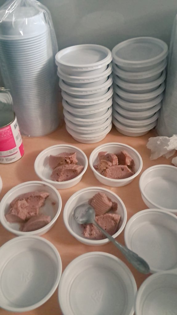 تجهيز الأكل وتعبيئته في صحون
مع أكياس رمي النفايات ومياه للشرب
الله لا يحرمنا الأجر و يبارك لنا في رزقنا
تخلفت عن الإطعام أيام الحظر الكلي ويوم الصلاة على أبوي الله يرحمه و يوم عملية المرارة
أساعد بالمتوفر وقدر الإمكان
تغمرني السعادة بعد الإنتهاء
ورجوعي للبيت
عمل لله و ليس رياء