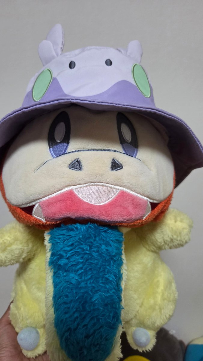 hogearashi's tweet photo. #ホゲータの日
(?) https://t.co/M4G4dXCe4Q