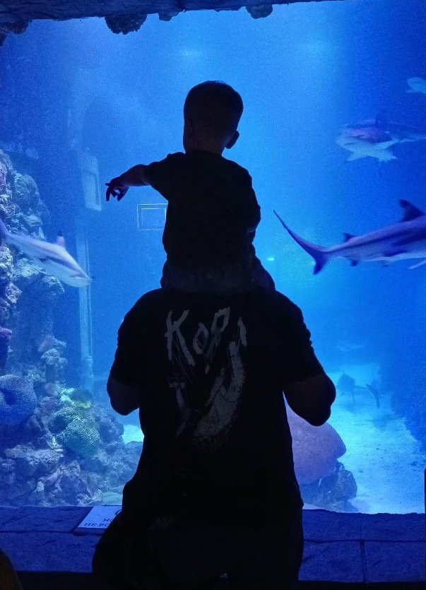 Паблік 🎮 tweet media