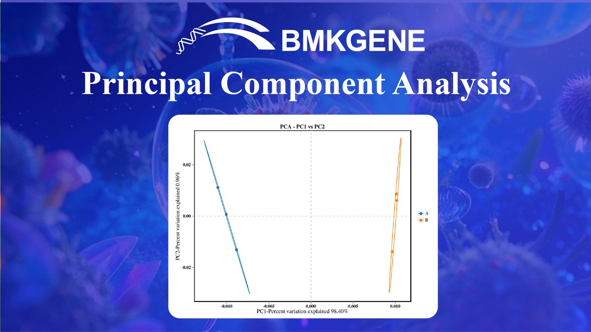 BmkgeneEurope's tweet image. Visualize Microbial Patterns with PCA (Principal Component Analysis)

With over 10 years of microbiome expertise, #BMKGENE transforms your raw data into clear PCA insights and beyond.

#Bioinformatics #MicrobiomeAnalysis
#DataVisualization #PCA #BetaDiversity