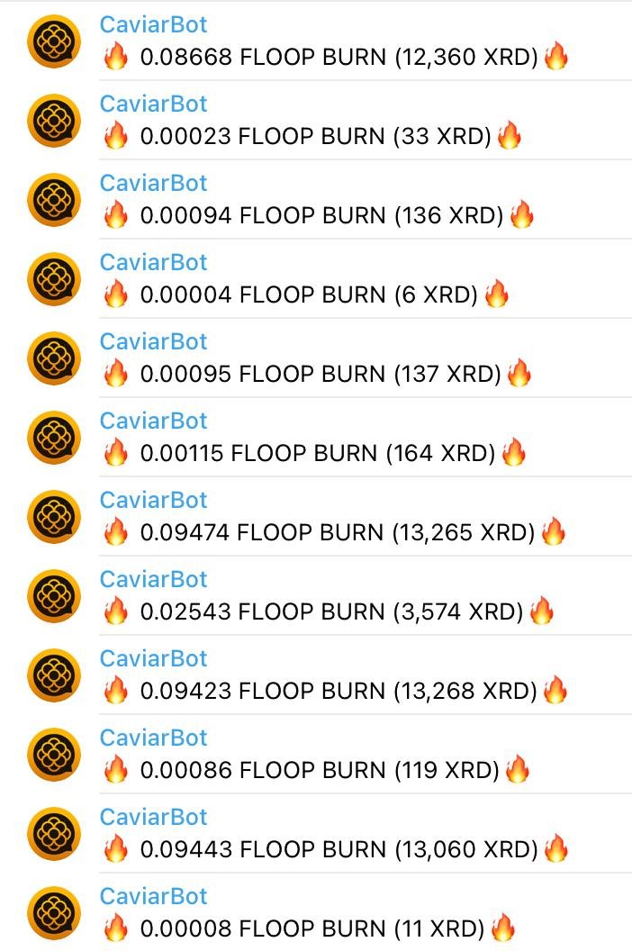 On the lookout for a #radix ecosystem project to invest in? Check out $FLOOP! IMO the most promising ecosystem token and the burn is real. 🔥