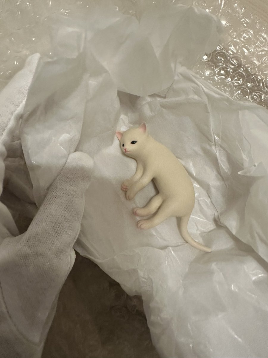 𓃴 土屋仁応 / Yoshimasa Tsuchiya on X: 