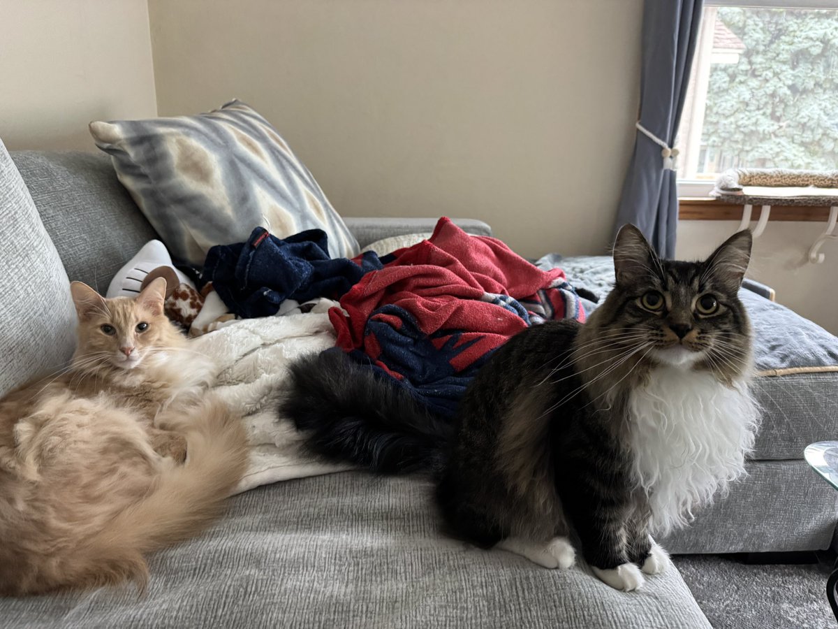 Oh. Are we in your spot?