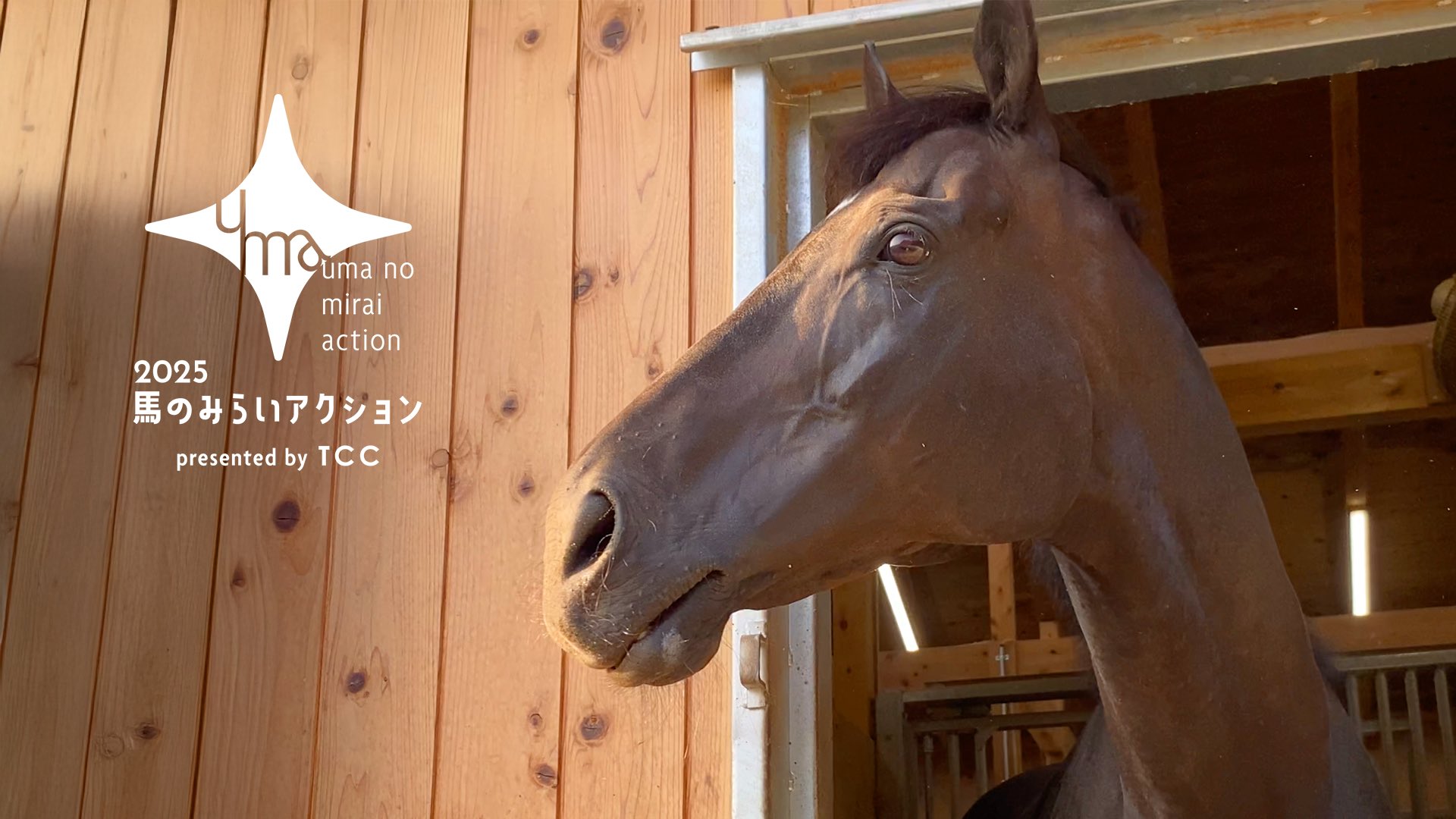 【中古】 競馬でパソコンをモノにする虫のイイ本 レース前に結果がわかる実戦レース・シミュレーション/インプレス/一戸秀樹 中古】 競馬でパソコンをモノにする虫のイイ本 レース前に結果が