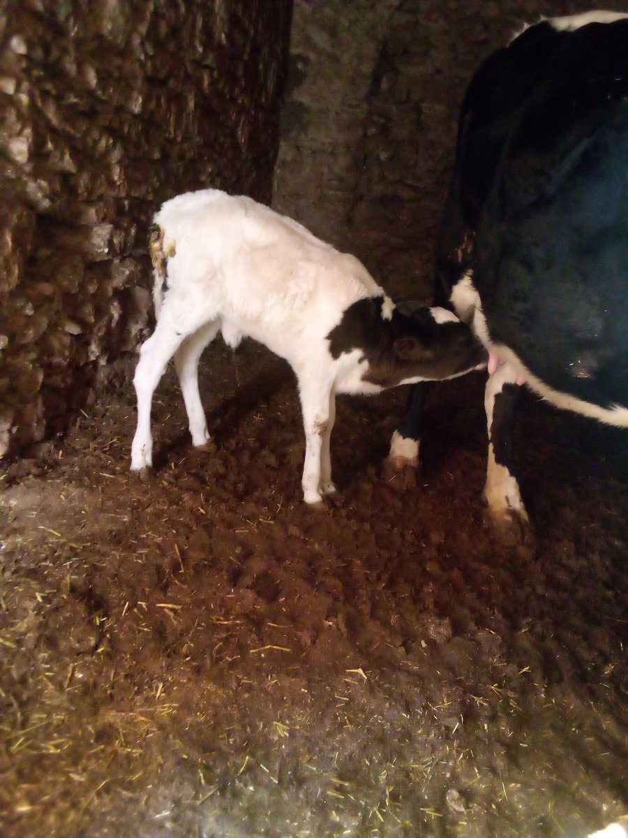 الإنتخابات على الأبواب، فبدأت اللقاءات والتربصات والمواعيد و الاجتماعات والتكتلات ...والزرادي أستعدادا لموسم حصاااد وفير. ياترى من سيقود حكومة المونديال؟؟؟