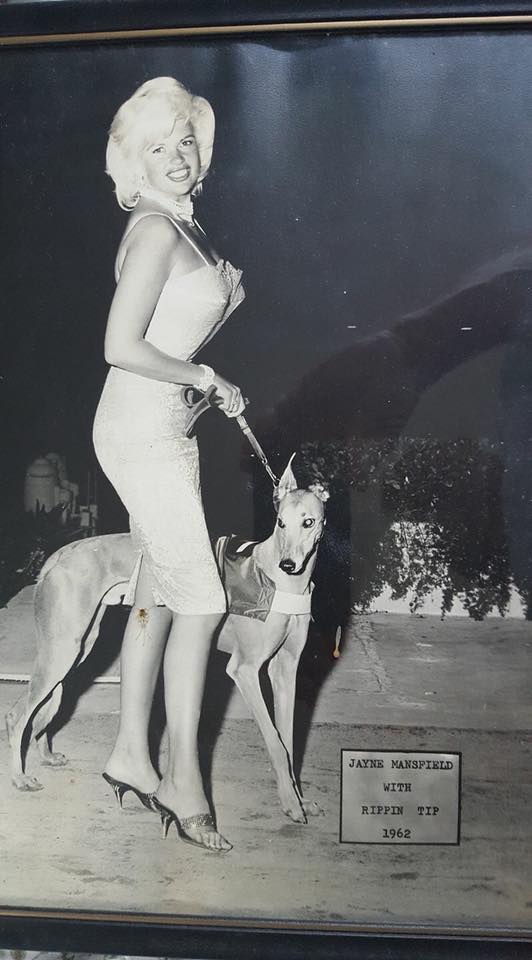 Sports & Betting History by BestBettingSites tweet media