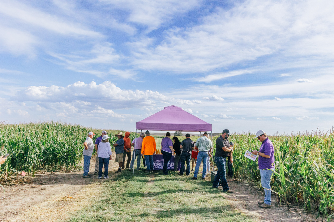 KSU-TAPS tweet media