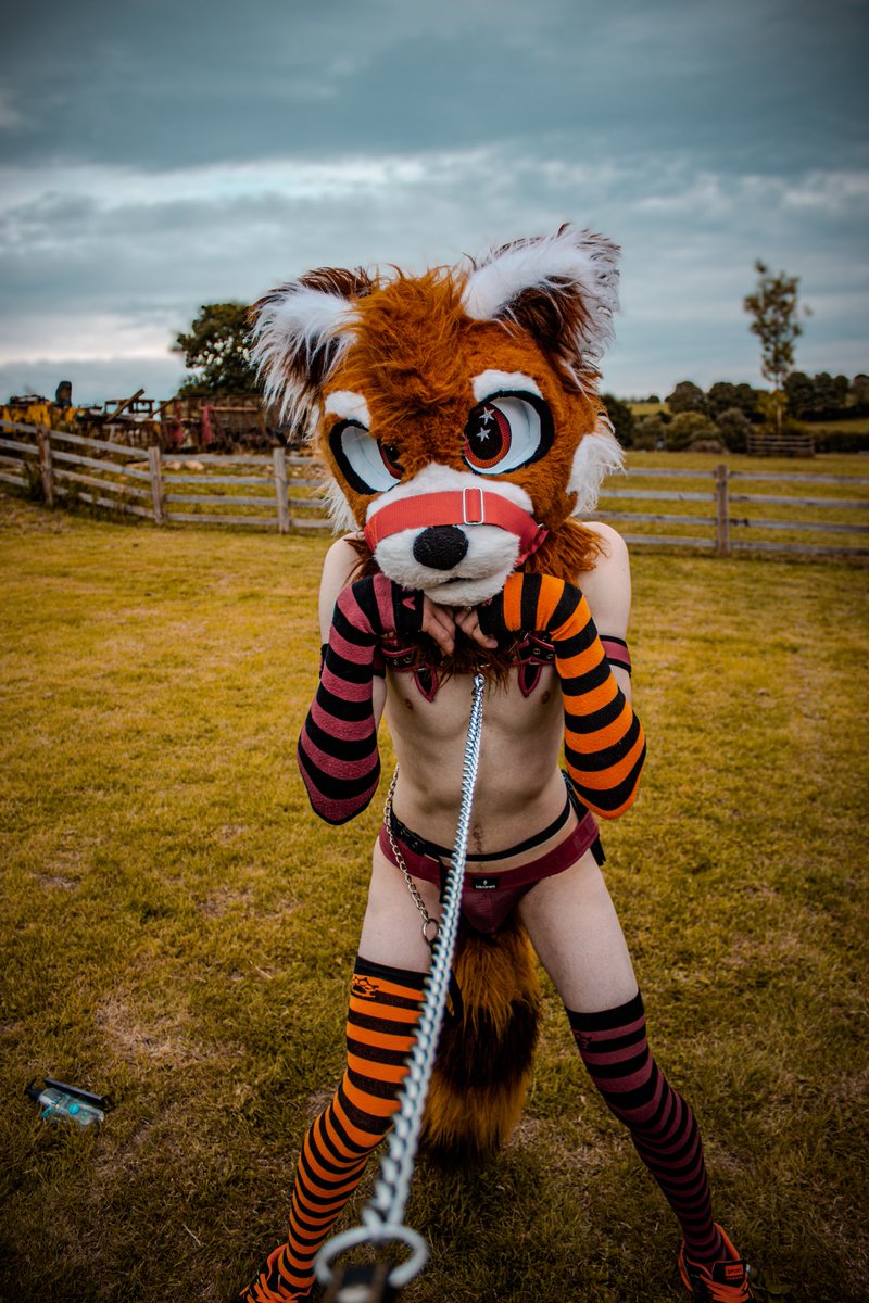 We most certainly are back~ 

Another wonderful pic enjoying the great outdoors.

#furry #furrynsfw