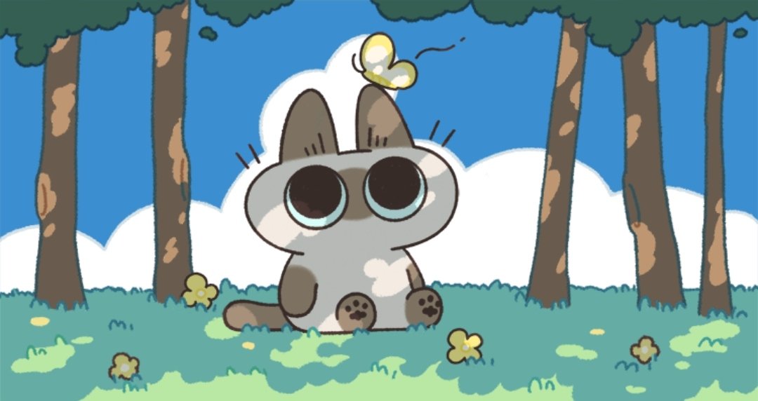 蔷薇科嗲精 tweet media