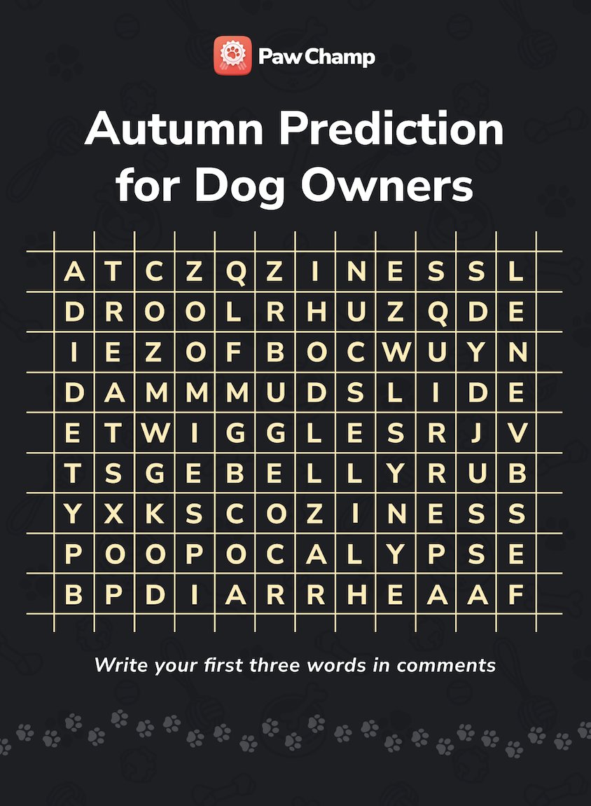 PawChamp's tweet photo. 🍂 What’s your autumn prediction as a dog owner?

Share it below🐾

#dogsoftwitter #dogs #dogsofX #DogLovers https://t.co/LCznsaeojm