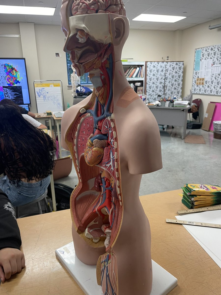 HEAL at Nimitz tweet media