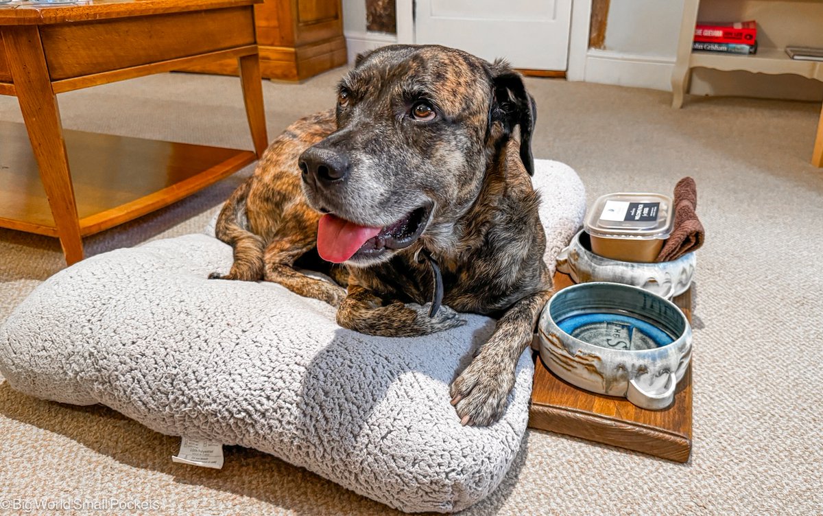 BigWorldSmallPockets tweet media