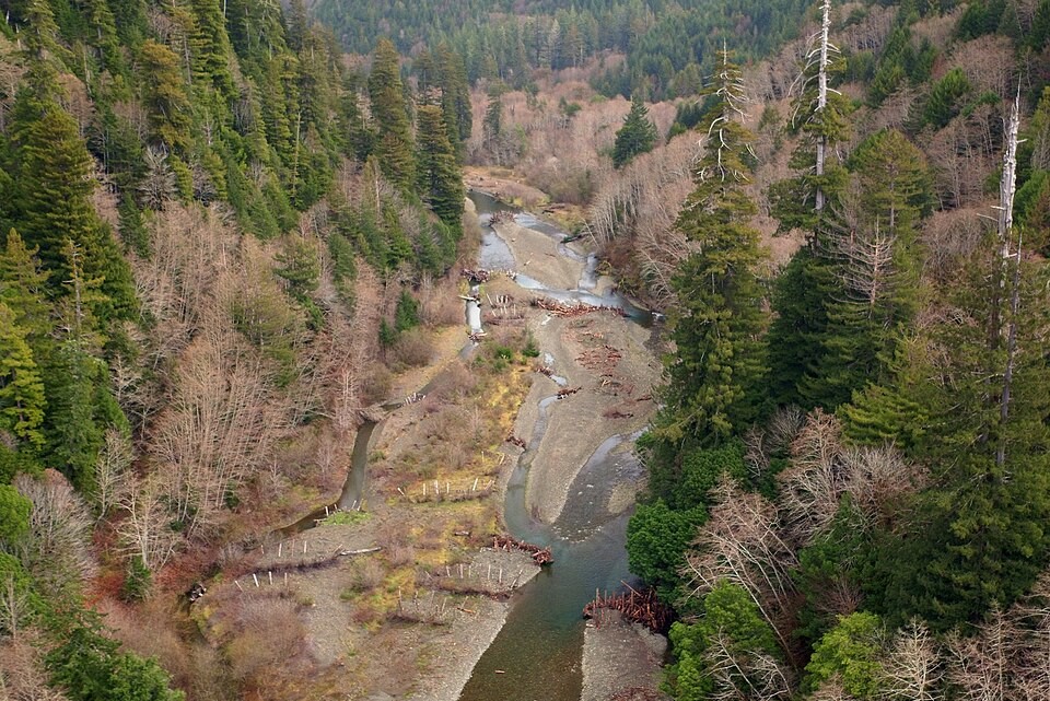 Conservation Corridor tweet media