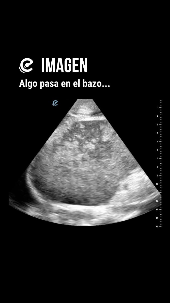 ECOCRITIC tweet media