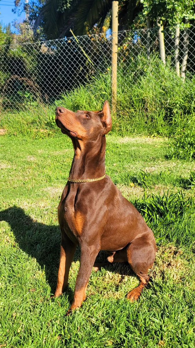 😭😭😭😭😭💕💕💕💕💕