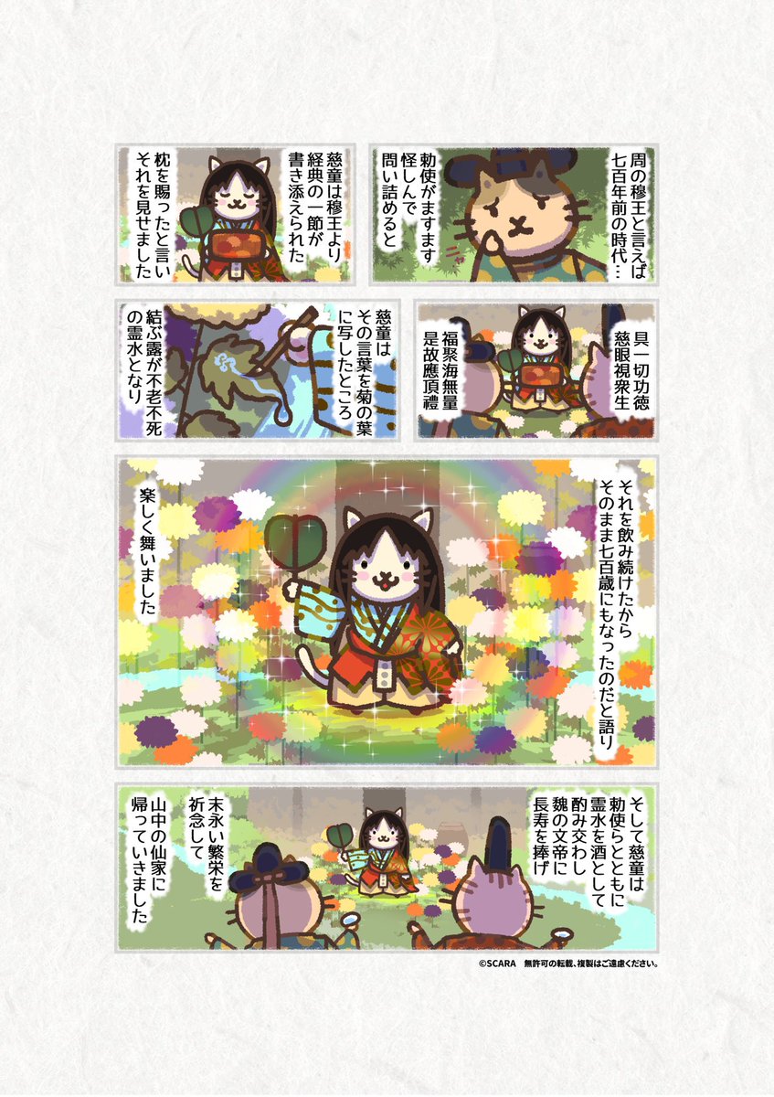 本日9月9日は重陽（菊）の節句
おニャオ絵巻🐱『菊慈童』をお届けします🌼

菊の葉に経文を写し
その葉の露をのみ
姿変わらず
700歳になっていた
不老不死の慈童さん

五節句のひとつ『重陽の節句』の
菊酒や菊の被せ綿に通づるお話🌼
#能楽 #能 #猫
#日本文化
#菊慈童
#枕慈童
#日本行事 
#重陽の節句