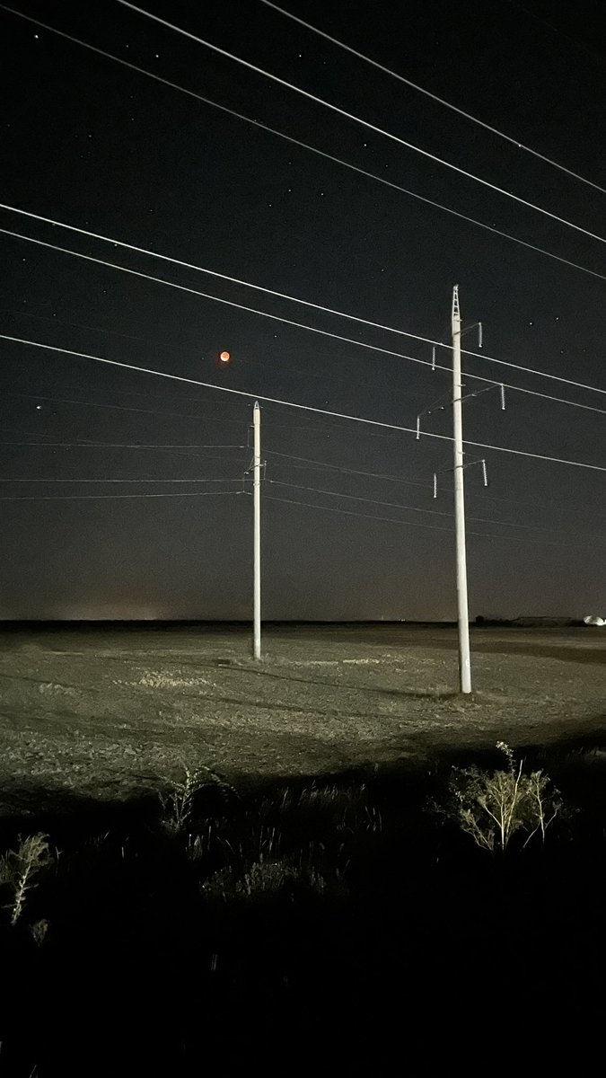 Wild suburban nights core