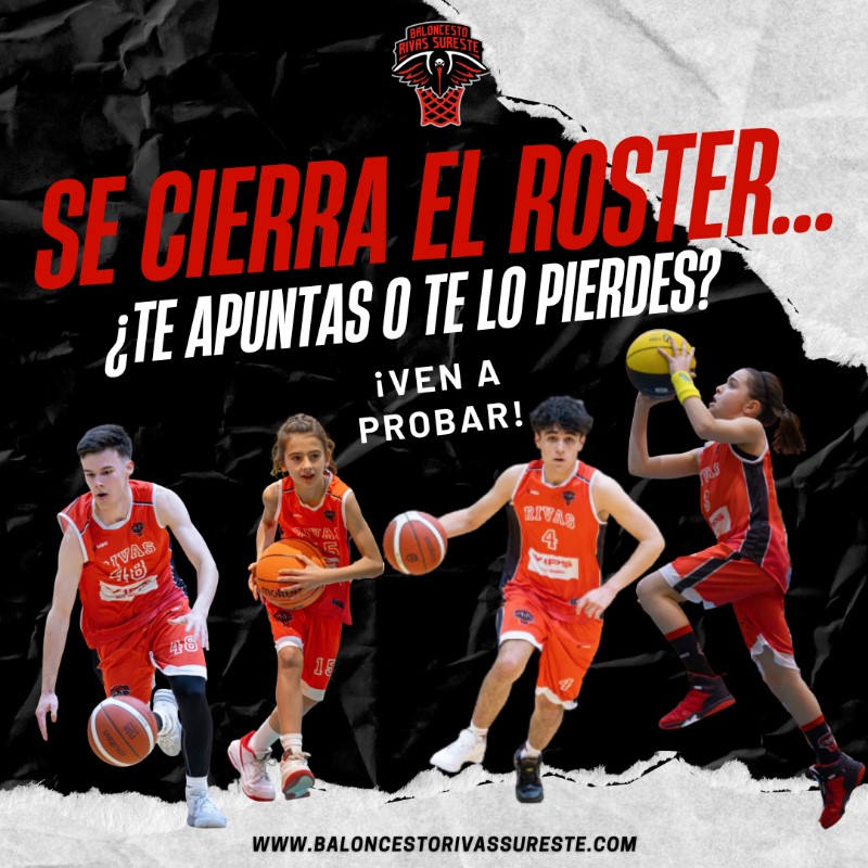 Baloncesto Rivas Sureste tweet media
