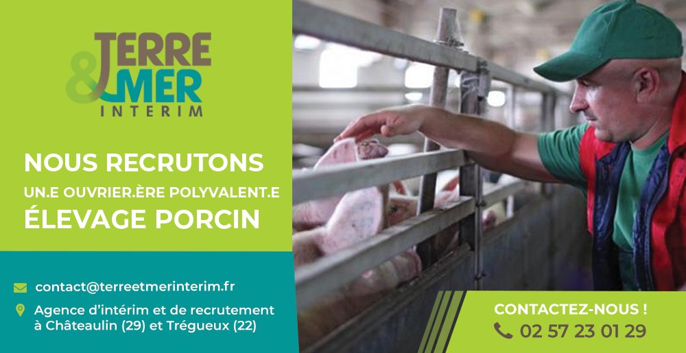 URGENT
📢OFFRE D'EMPLOI
Nous recrutons un #OUVRIER POLYVALENT #ÉLEVAGE #PORCIN (H/F) à #QUIMPER (29) pour 1 mois
 
Contactez-nous au 02 57 23 01 29 et envoyez votre CV à contact@terreetmerinterim.fr  ou annonces-interim.bzh/terre--mer-int…
 
 À bientôt ! 😉
#Recrutement #Agriculture