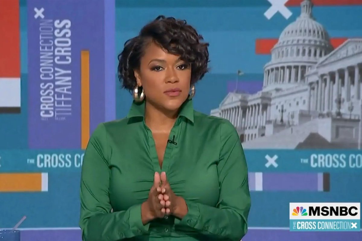 CNN panelist Tiffany Cross says…

“Any time we play something from Stephen Miller, it would be journalistic integrity to point out that he is a white supremacist…That's actual fact.”

Do YOU agree?               YES or NO