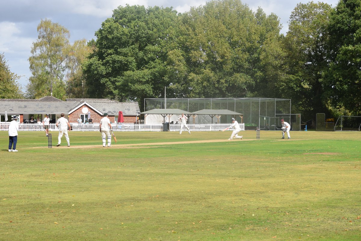 The Bushmen tweet media