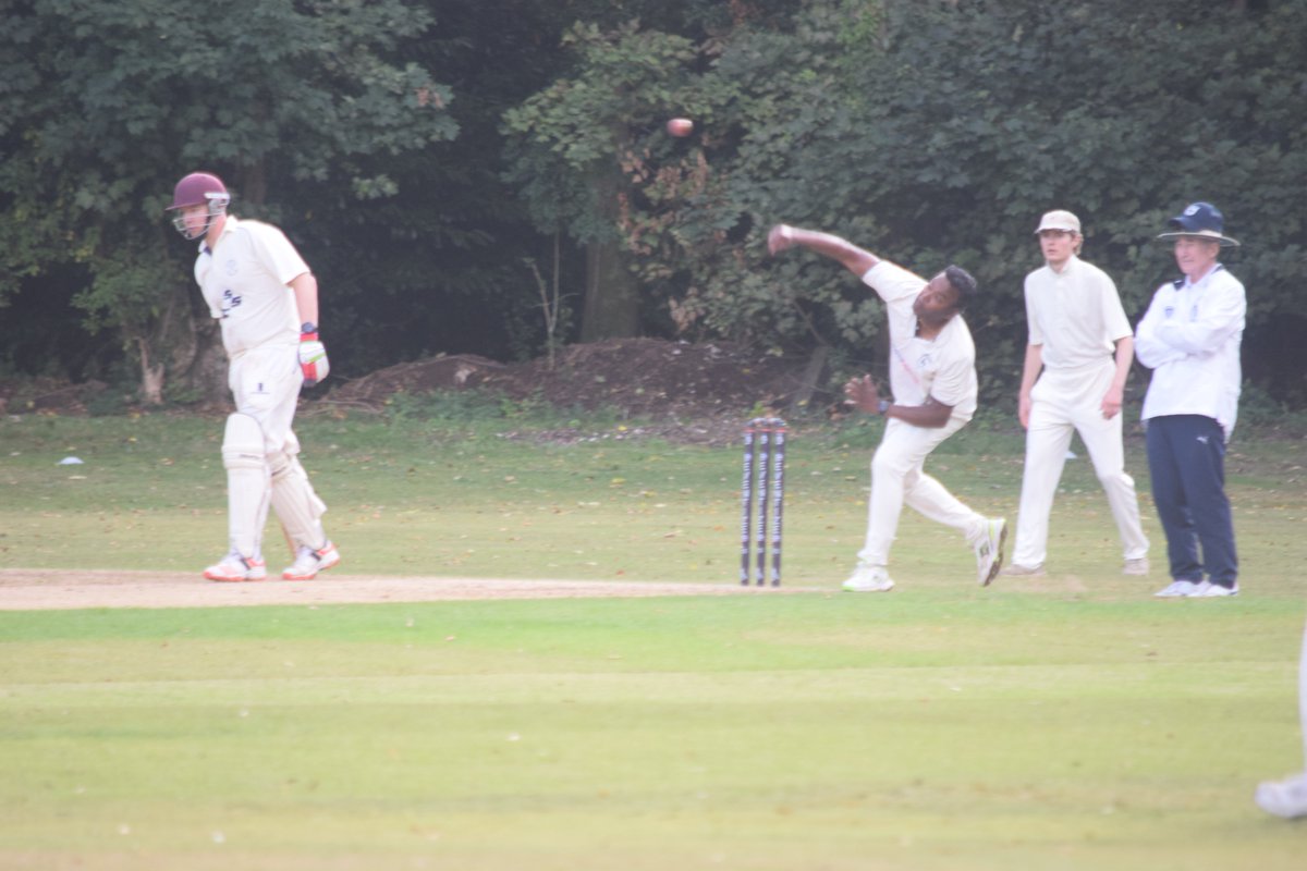 The Bushmen tweet media