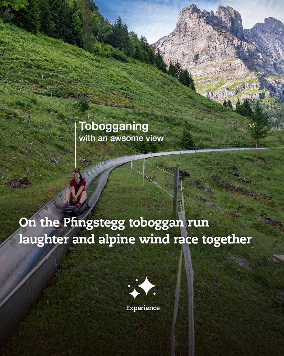 JungfrauRegion's tweet photo. Slide into pure alpine joy on the Pfingstegg toboggan run in Grindelwald 🛷⛰️

@GrindelwaldCH | @pfingstegg   | @madeinbern | @MySwitzerland_e

#jungfrauregion #grindelwald #eiger #swissalps #madeinbern #inLOVEwithSWITZERLAND https://t.co/VkrmgQA3MY