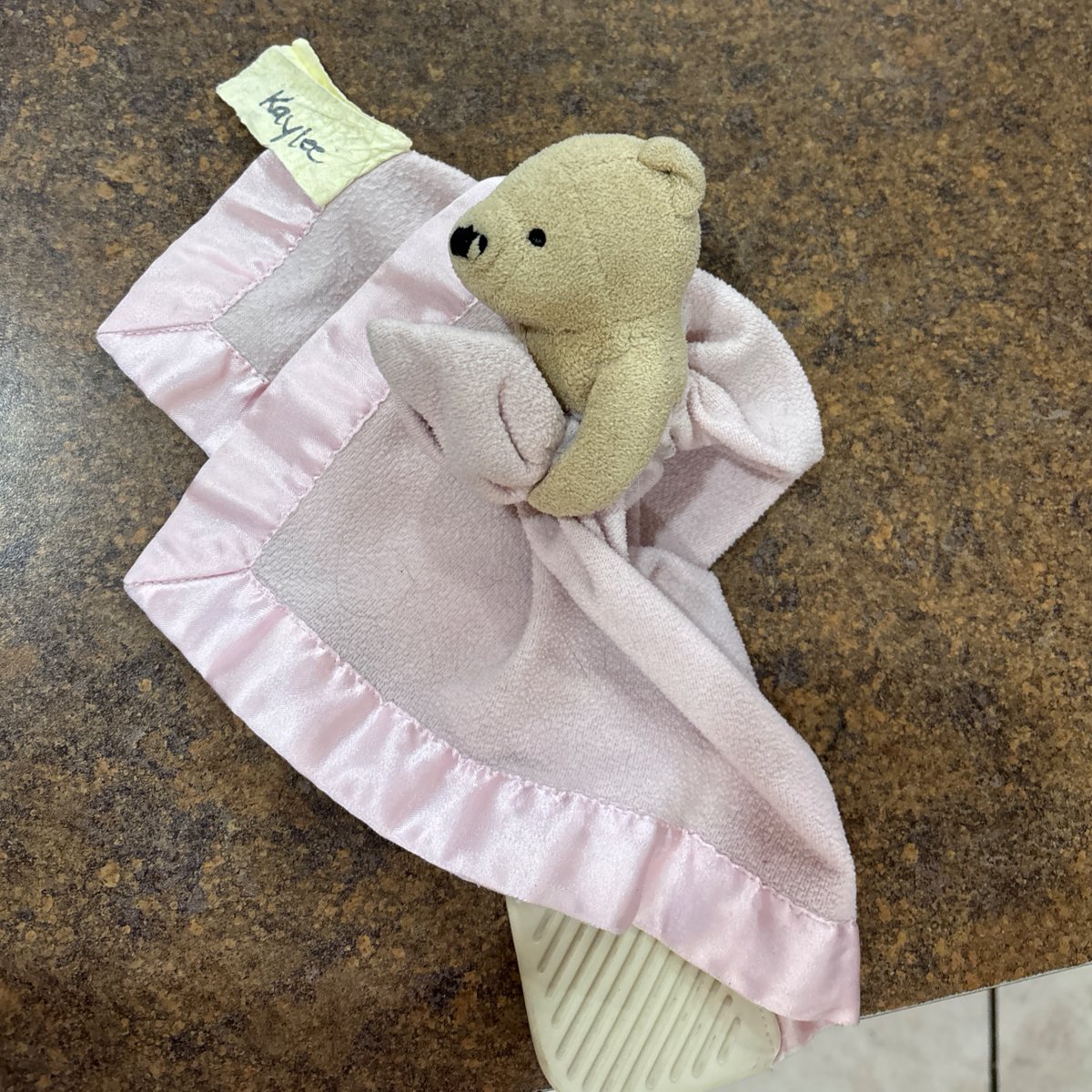 TastyPastryFL's tweet image. #Tallahassee we need your help! This precious teddy blanket was left in our store with the name Kayle on the tag. If you know anyone who might have lost this blanket, please let us know so we can get it back to her!