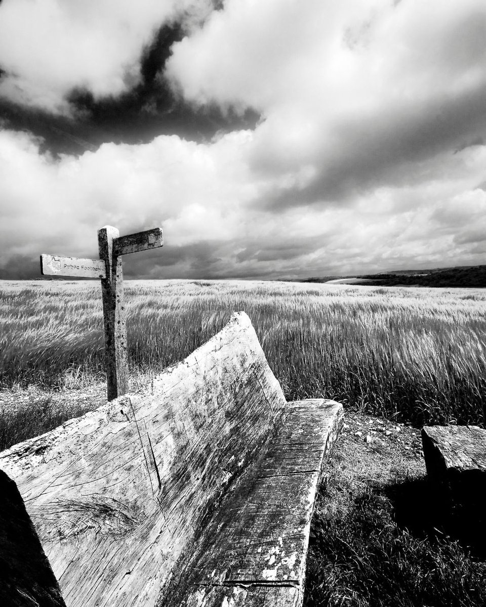 Leaves turn. Air cools. Benches call. 

It's officially Autumn Bench Season. 

📷 Sean Evison