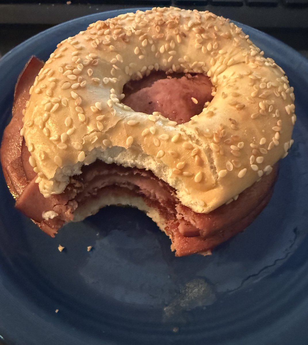 I hereby proclaim my love for Fried Baloney Sandwiches.