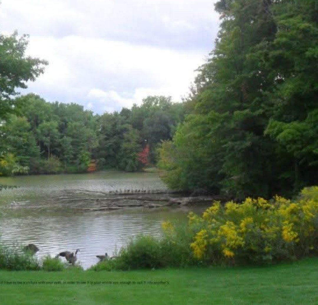 jacquesLeStrap1's tweet image. 14 #turtles scoping out the scene. #keepitsmooth