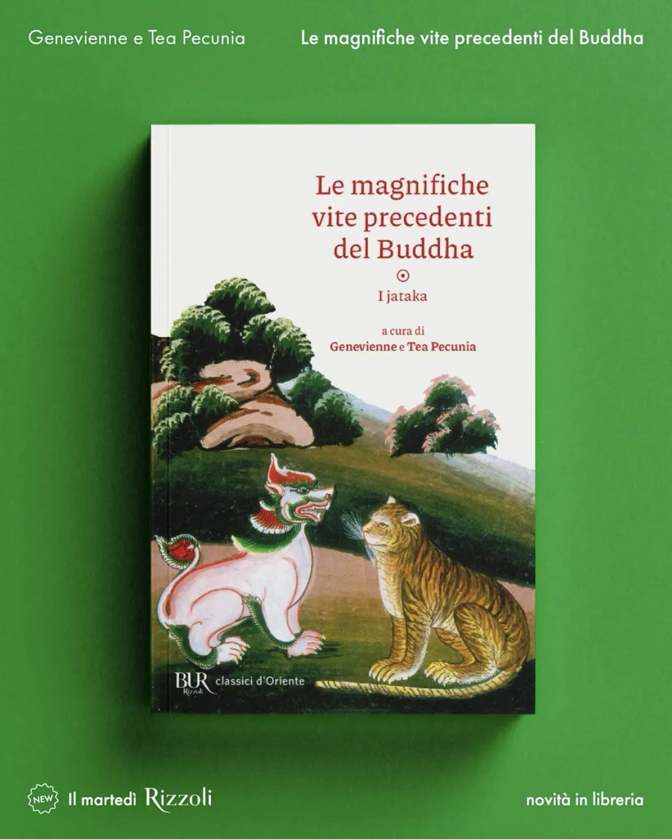 Tea Pecunia tweet media