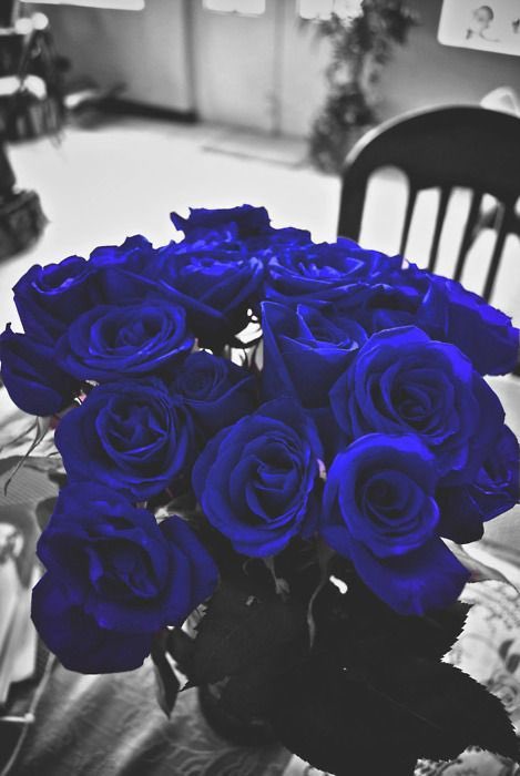 ابيها حب واخلاص وهواجيس وفرح واحزان ❤️
ابيها مثل ما دكتور اهالي العشق وصاني🌹🌹