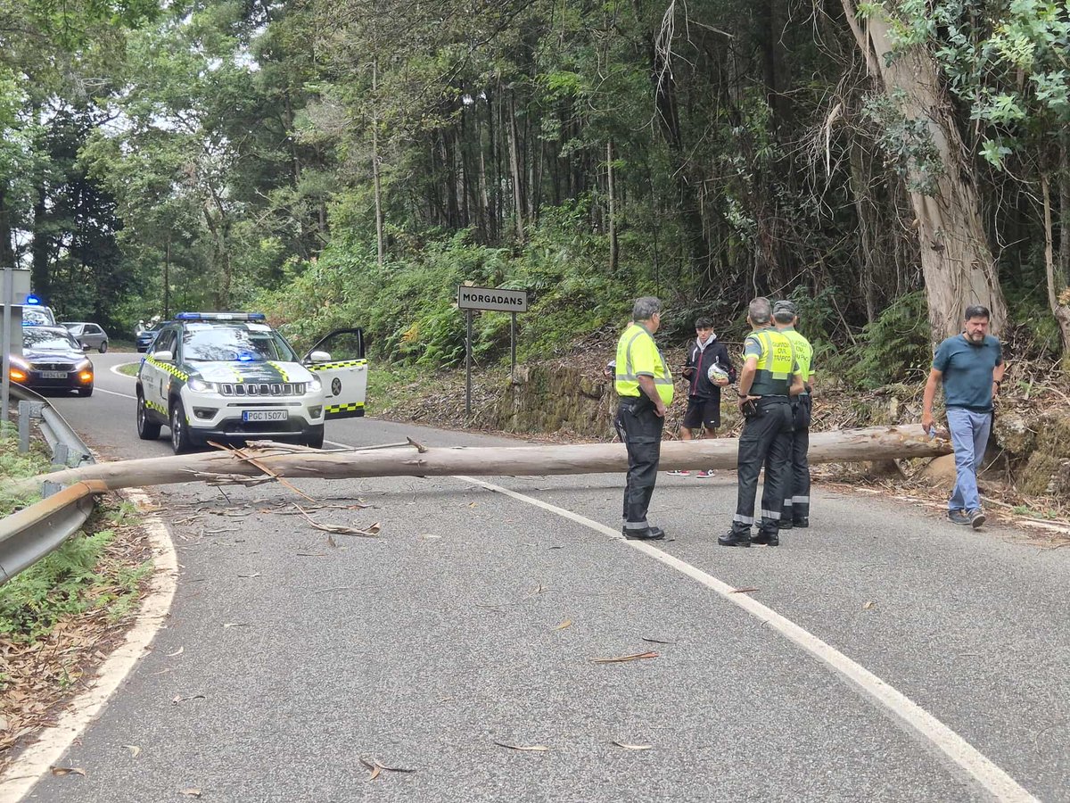 In Morgadans at the bottom of Alto del Prado, a tree was deliberately cut down to block the passage of #LaVuelta25 riders. Police and race organizers quickly cleared the obstruction. (via <a href="/SpazioCiclismo/">SpazioCiclismo</a>)