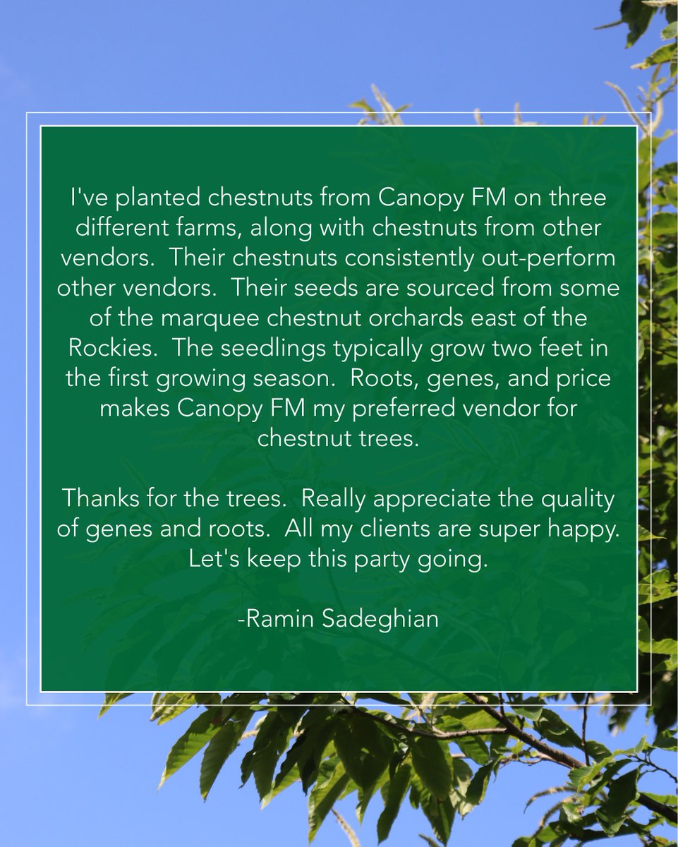 We love getting updates from our customers! Have you ordered trees from us? We would love to hear how they are doing!