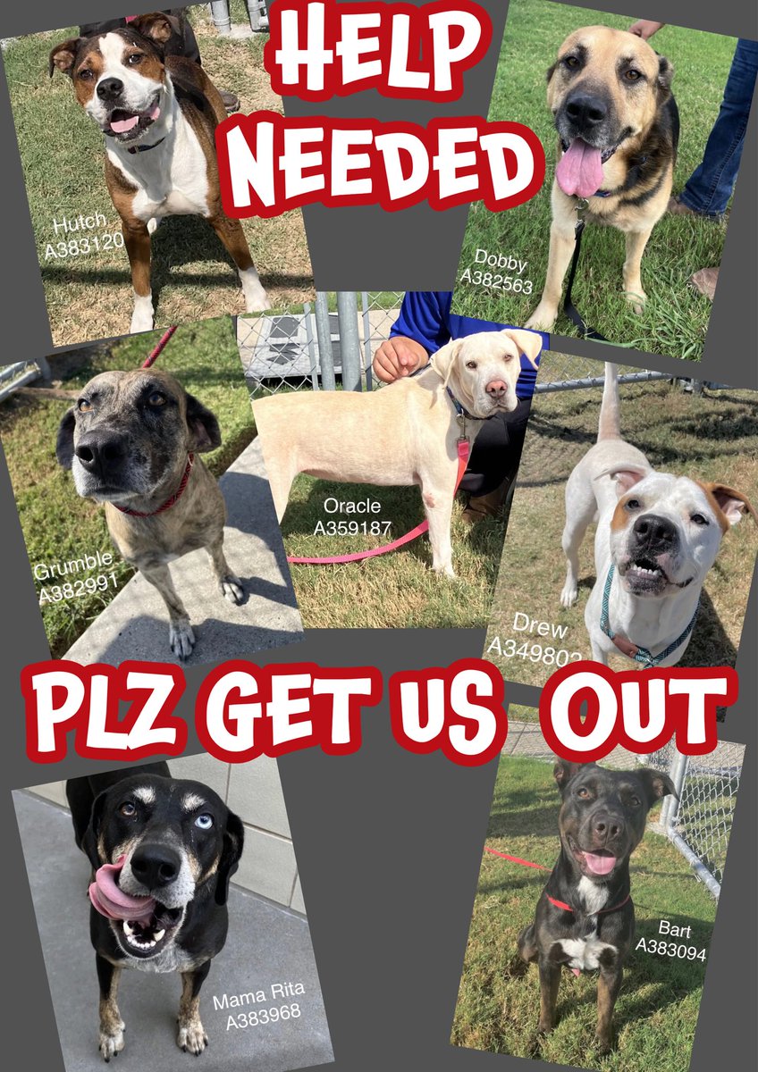 RoCo🇬🇧God Save The King🇬🇧 tweet media