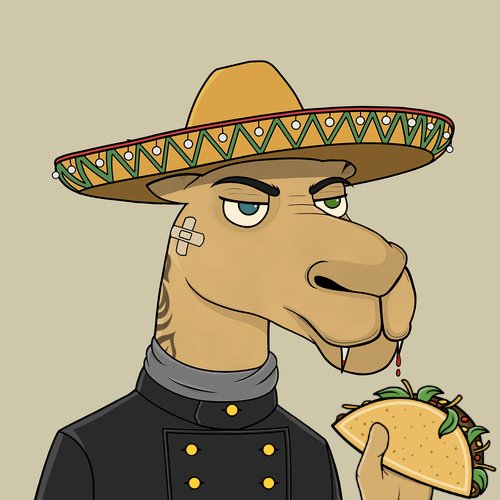 Cryptodaave's tweet image. Happy Choose Day Red, have a great day #CamelsFam! 😎🌮 #Mories