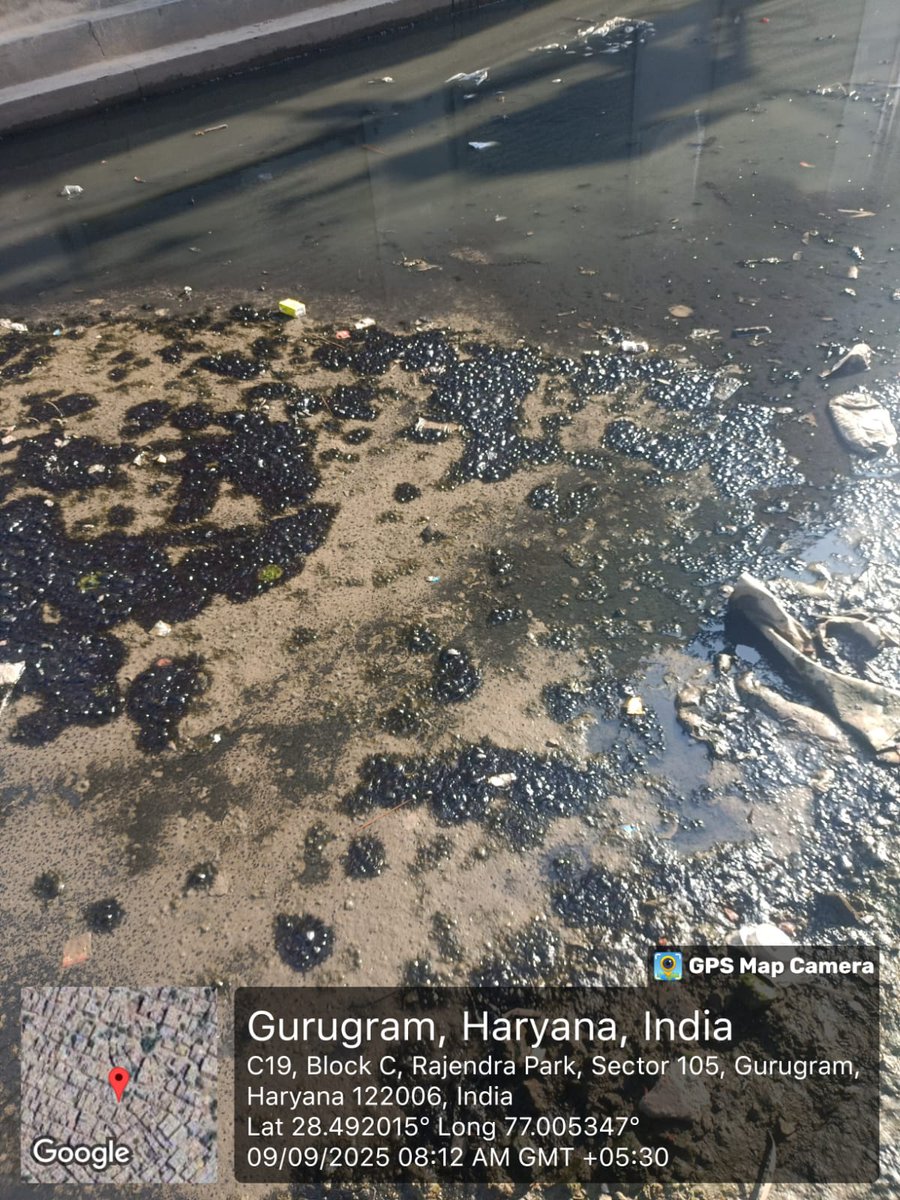 Dhamachaukadi's tweet photo. 19 जुलाई की रात @MunCorpGurugram JE राहुल ने ढक्कन तोड़ा, slab डालने का वादा हुआ था। 50 दिन बाद भी काम नहीं हुआ। जगह रोज़ हादसों को न्योता देती है. कभी भैंस फँसती है, कभी स्कूल वैन। बरसात में यह ब्लाइंड स्पॉट जानलेवा बनता है।  @CPCB_OFFICIAL @cmohry @VipulGoelBJP @HTGurgaon https://t.co/JqFcLKvjHf