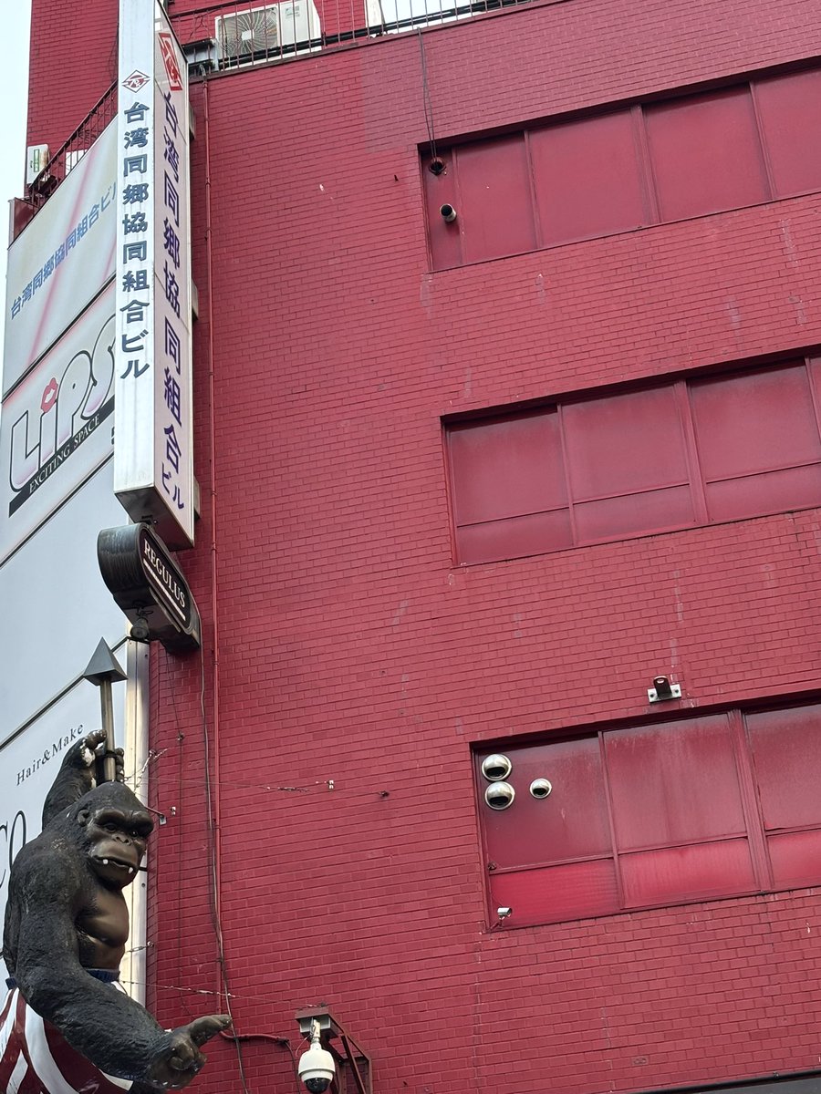 毎週歩いてたのですが
🦍がいたとは！？