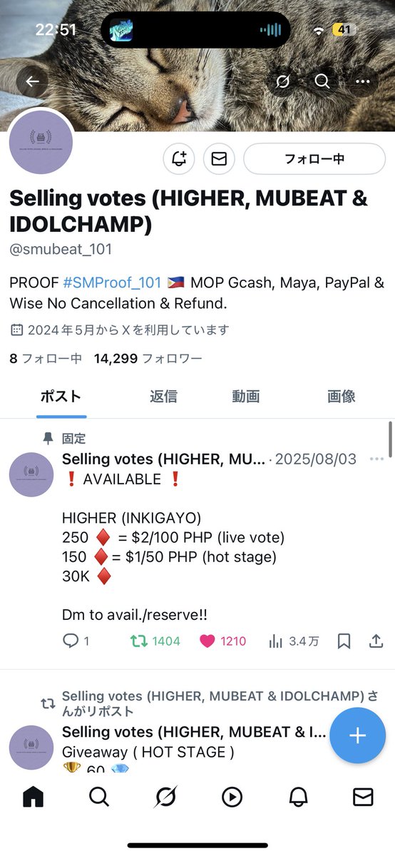 🐻‍❄️ tweet media