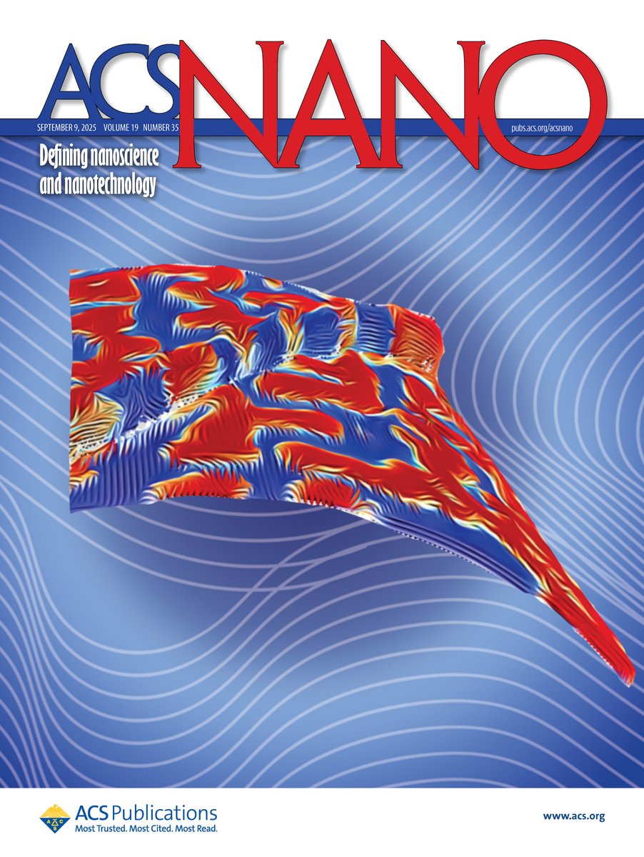 Happy to see our study featured by ACS Nano!

The cover, designed by Colin Langton and Erin Marlowe, shows X-ray nanotomography of a curved PMA thin film deposited over nanowires, revealing curvature-induced modifications in the magnetic configuration. doi.org/10.1021/acsnan…