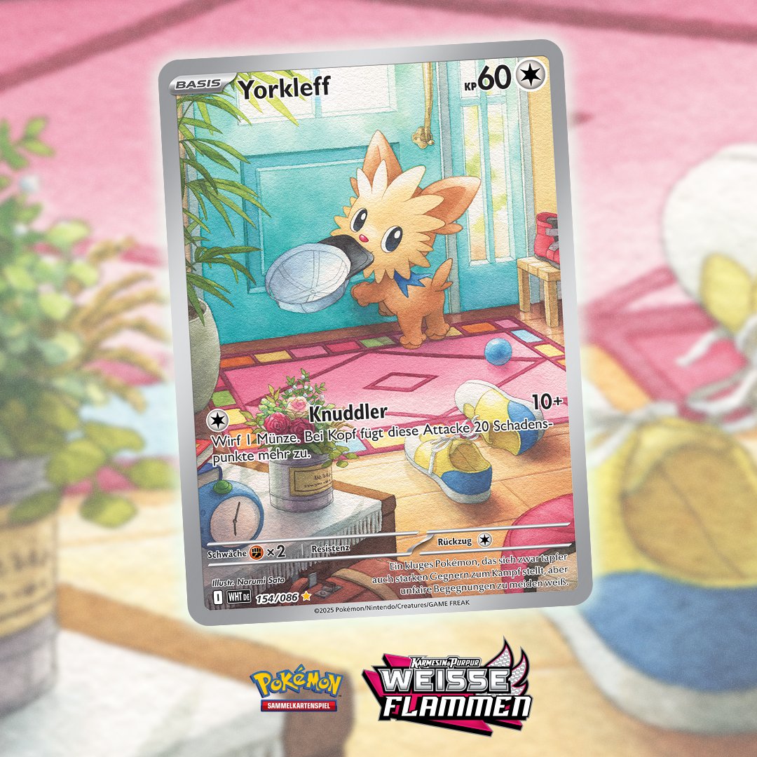 Lass alles stehen und liegen! Yorkleff will Gassi gehen und spielen! 🐶🧢