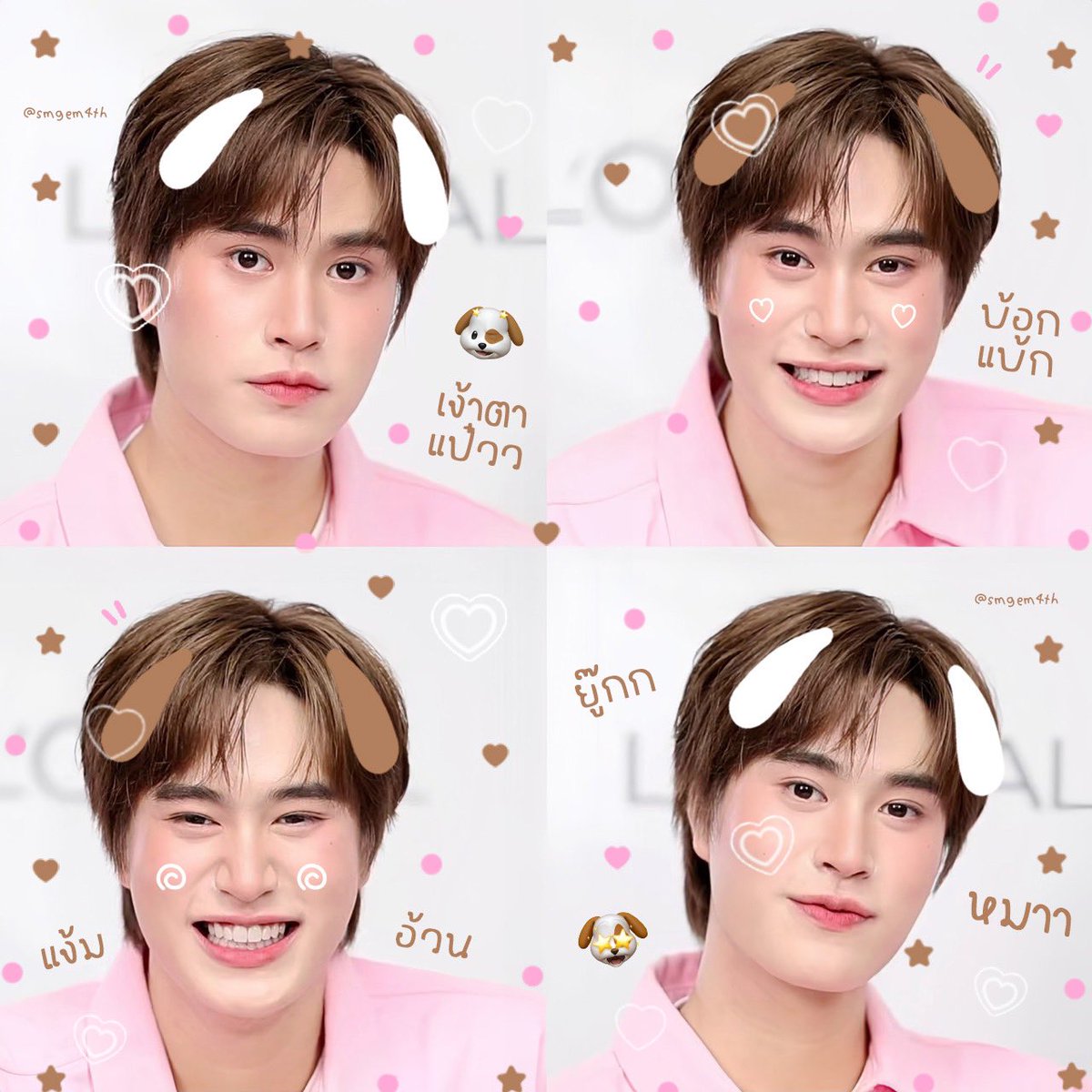 ⊹𓈒❥ ꒰ 𝙨𝙢𝙞𝙡𝙚.𝙜𝙛 ꒱ 🐶🐱ྀིྀ⟢ tweet media