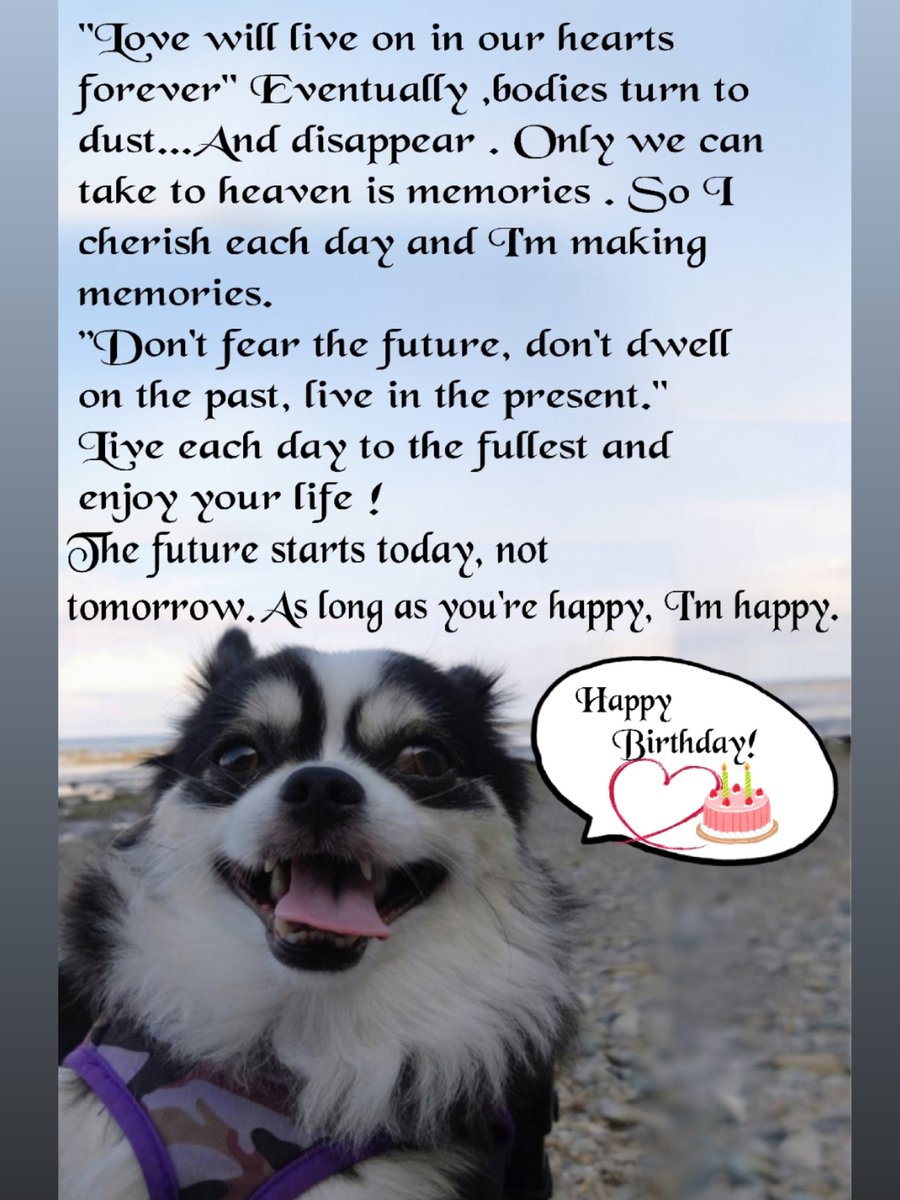 Mamitantan0910's tweet photo. Happy birthday, @RyanPhillippe🎂🎉(though it's a little bit early😊)I always hope your happiness.💕May your birthday be filled with love.💕 https://t.co/IbQT7Yc9Aj