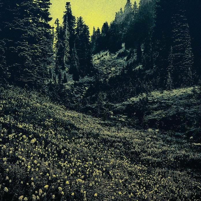 enfantorn's tweet photo. dans  l’ombre.  même  immobile,  il  semble  prêt  à  bondir,  un  mélange  de  puissance  tranquille  et  de  défi  latent,  comme  si  la  forêt  entière  retenait  son  souffle  avec  lui. https://t.co/zISCpayvSO