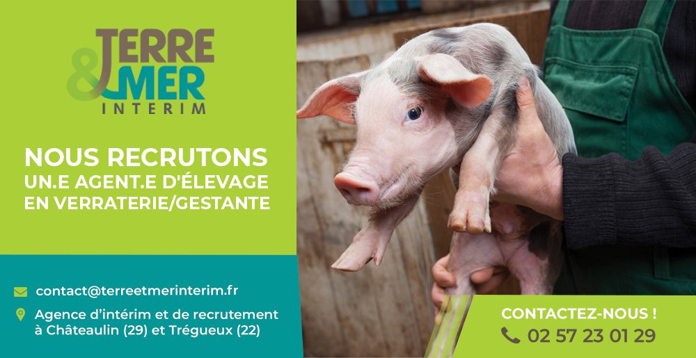 URGENT
📢 OFFRE D'EMPLOI
Nous recrutons un #AGENT D'#ELEVAGE EN #VERRATERIE/GESTANTE (H/F) à #Plomodiern (29) MISSION LONGUE DURÉE
 
Contactez-nous au 02 57 23 01 29 et envoyez votre CV à contact@terreetmerinterim.fr  ou annonces-interim.bzh/terre--mer-int…

#Recrutement #Agriculture