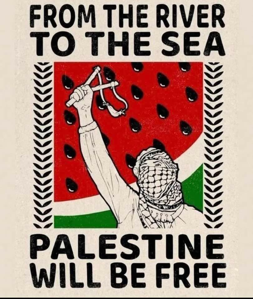 nobby mclaughlin tweet media