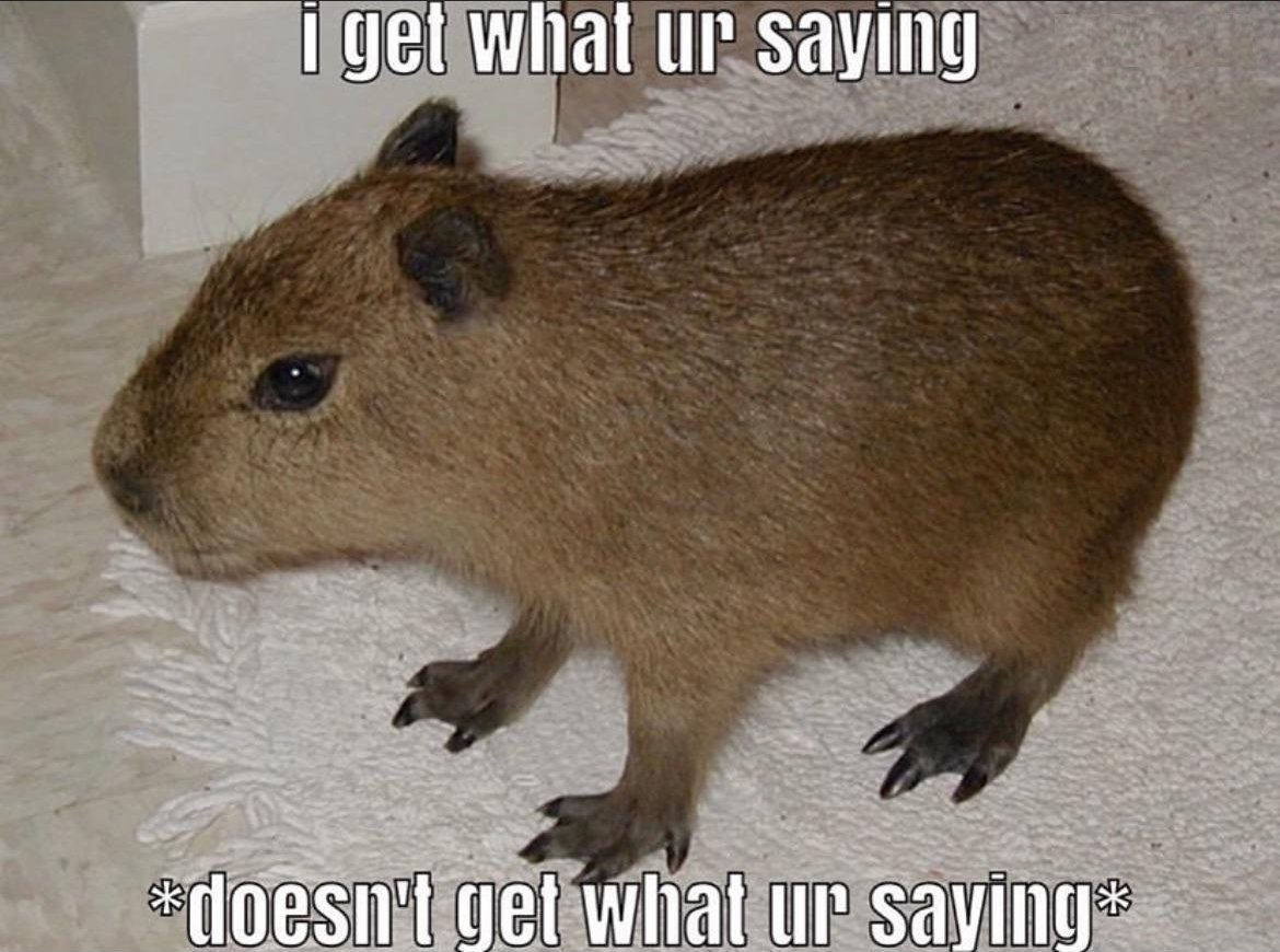 capy (@capyonbonk) on Twitter photo 